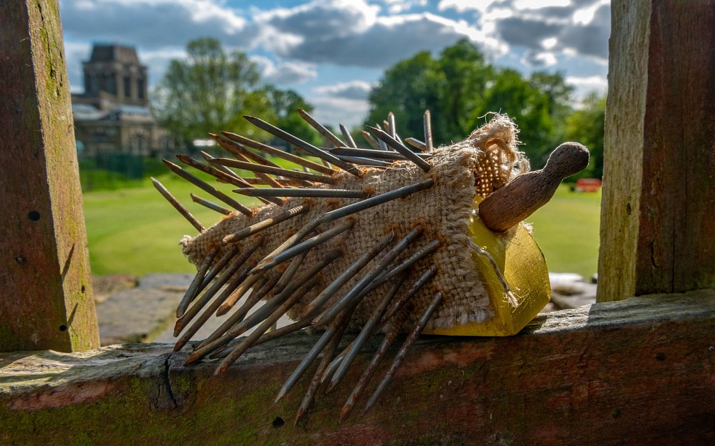 Hedgehog sitting on the Fence