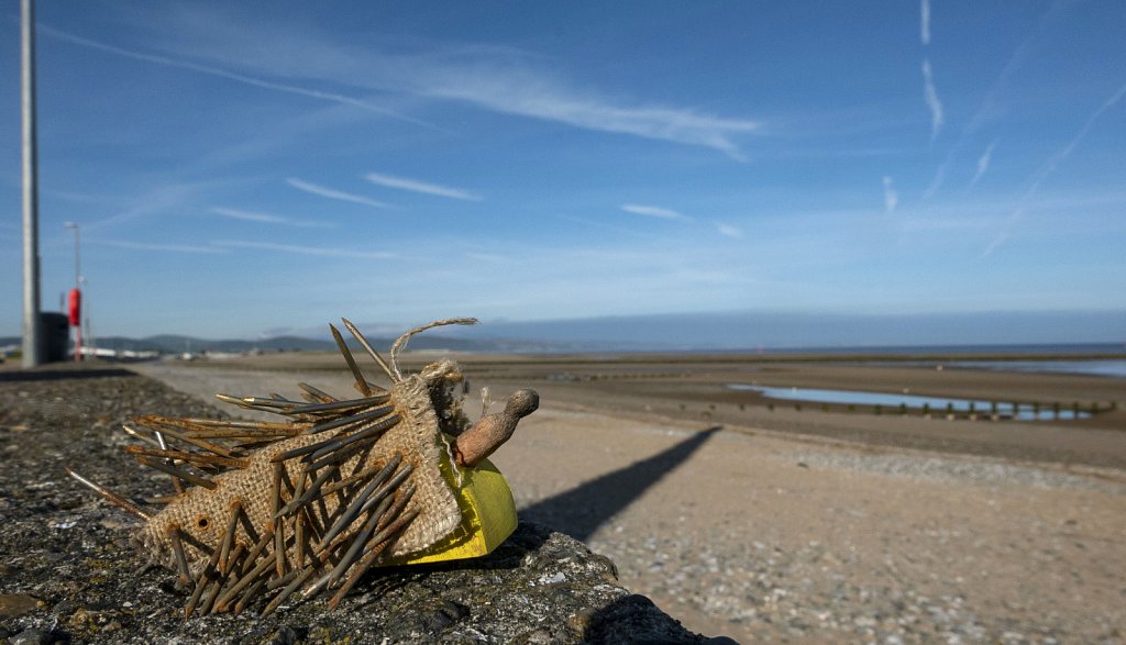 Hedgehog on the Beach